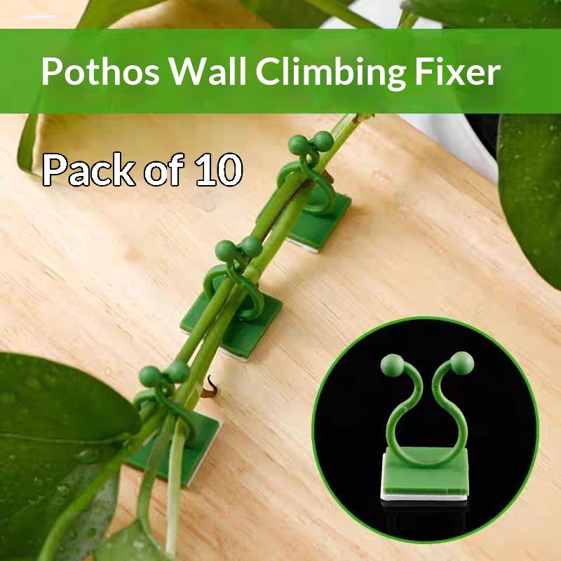 Home Decor Rattan - Self‑Adhesive Plant Climbing Wall Fixture Clips