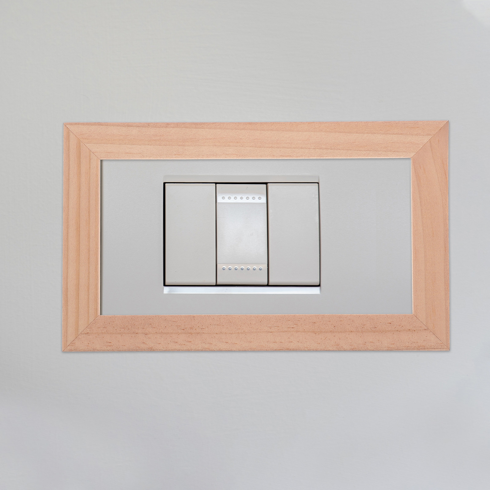 2-Slot Switch Outlet Wall Plat - Home Decor Outlet 评论和价格