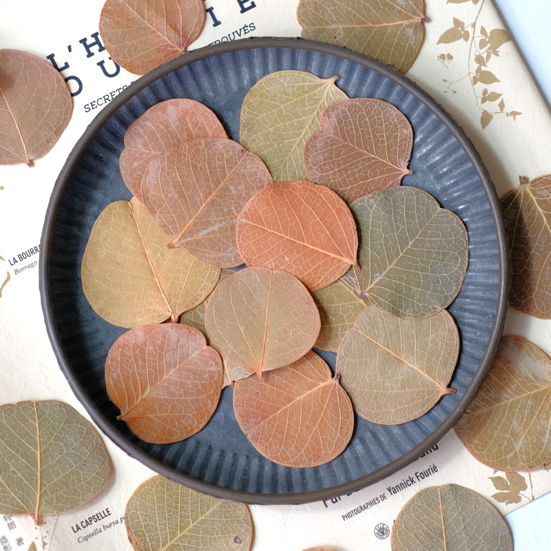 3-5cm/12pcs,Pressed flower dri - Pressed Flower Frame 评论和价格