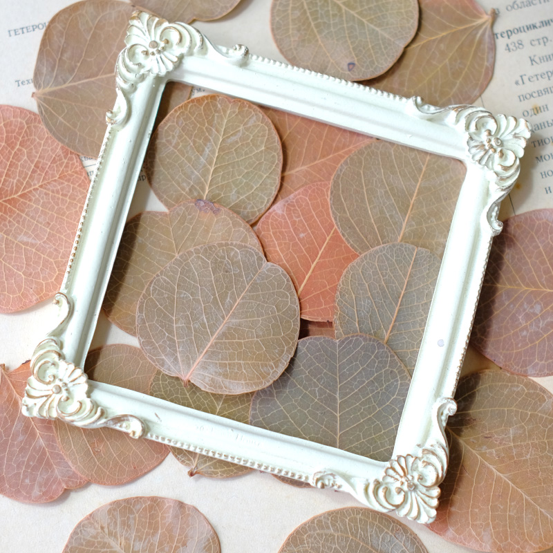 3-5cm/12pcs,Pressed flower dri - Pressed Flower Frame 评论和价格