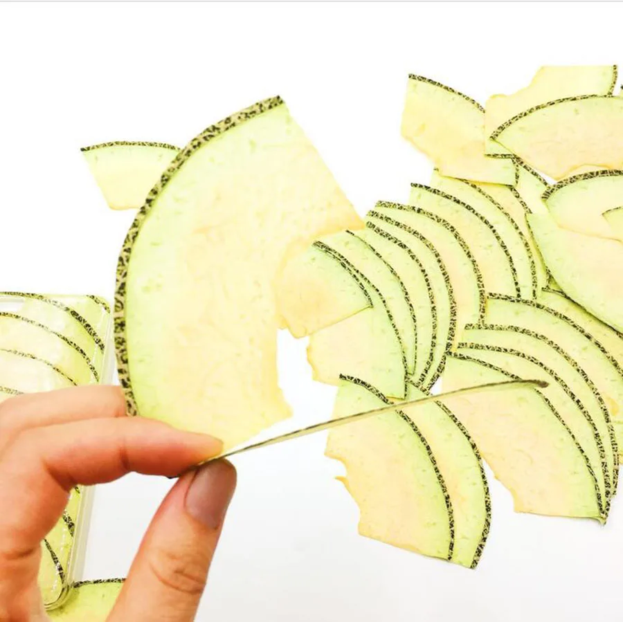 5pcs Dried Pressed Cantaloupe  - Pressed Flower Frame 评论和价格