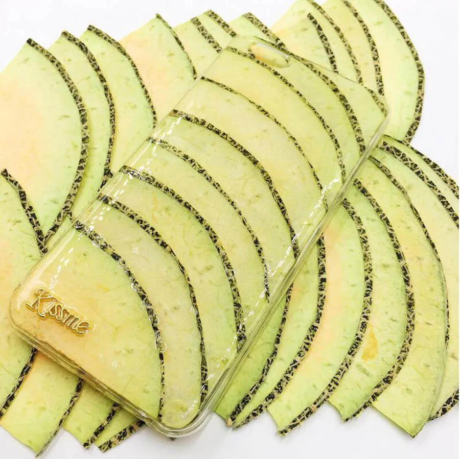 5pcs Dried Pressed Cantaloupe  - Pressed Flower Frame 评论和价格
