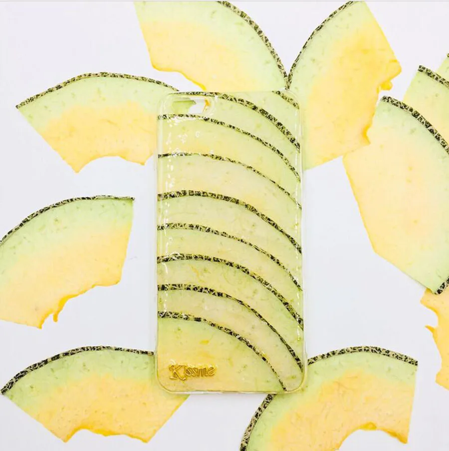5pcs Dried Pressed Cantaloupe  - Pressed Flower Frame 评论和价格