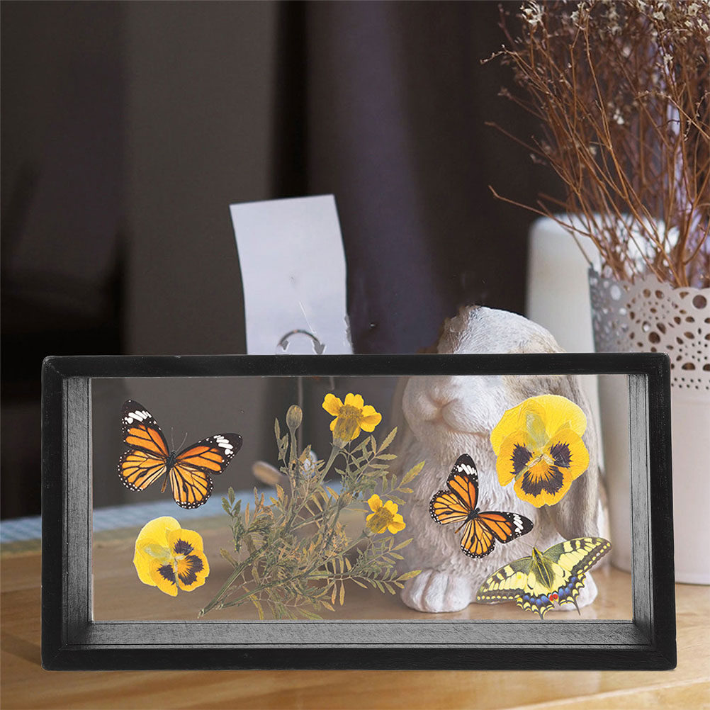 2Pcs Clear Acrylic Pressed Flo - Pressed Flower Frame 评论和价格