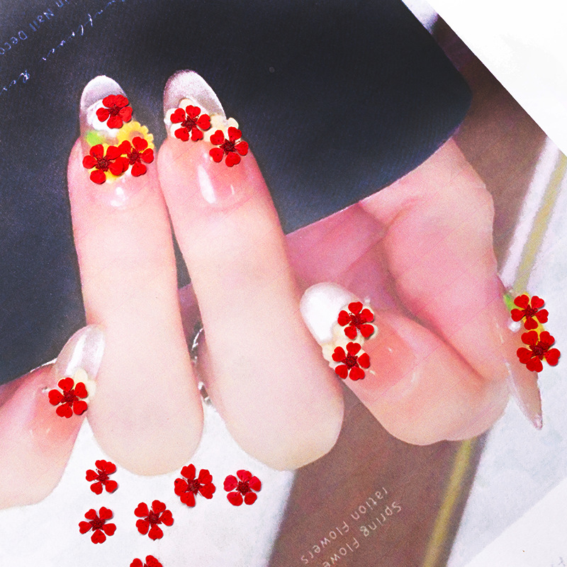 96Pcs Mini 1.5cm Natural Press - Pressed Flower Frame 评论和价格