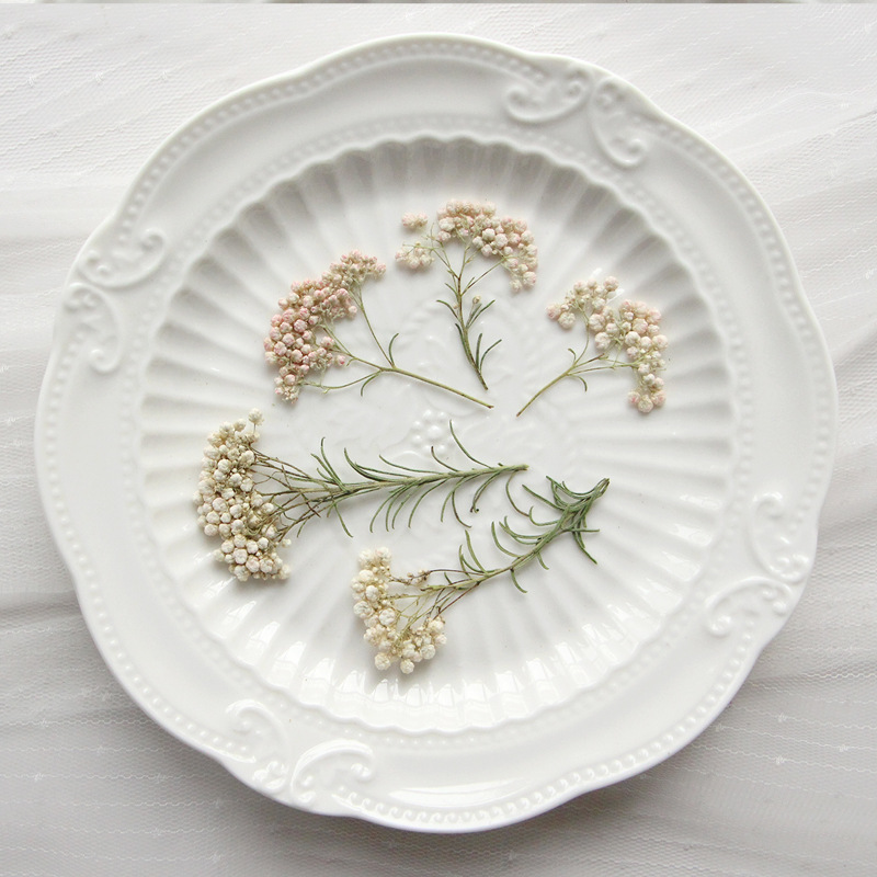 12pcs, Nature Millet Flower Br - Pressed Flower Frame 评论和价格