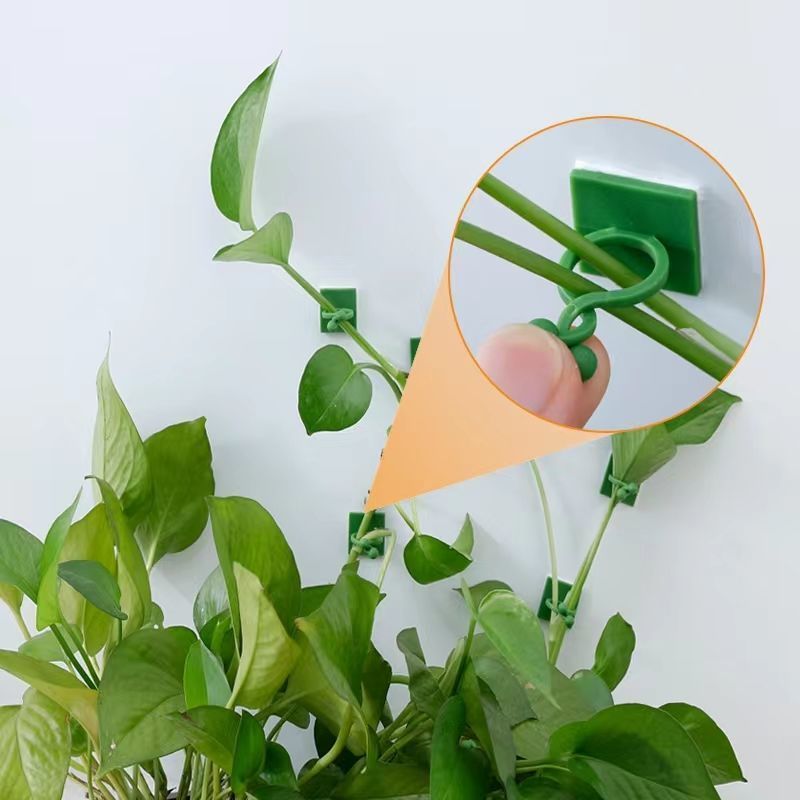 Self‑Adhesive Plant Climbing W - Home Decor Rattan 评论和价格