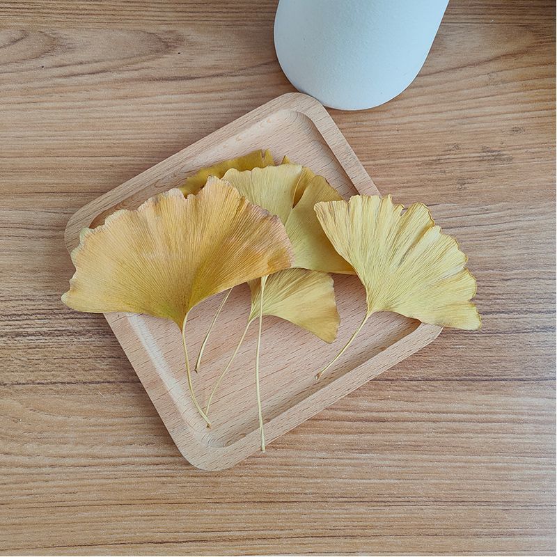 Natural Ginkgo Biloba Dried Le - Home Decor Rattan 评论和价格