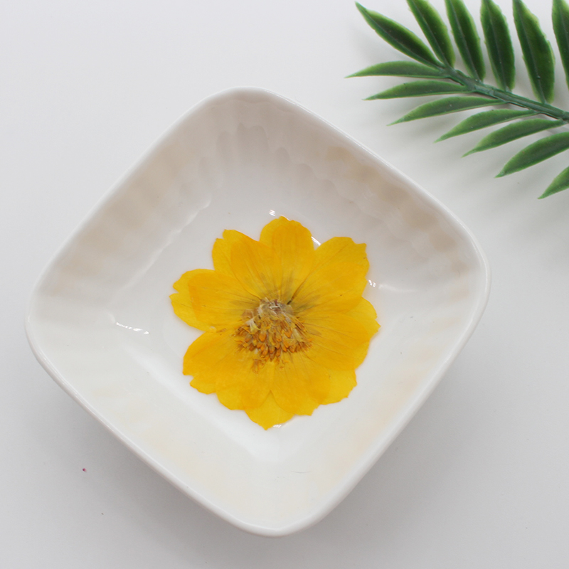 6pcs,Pressed Real Sulfur Cosmo - Pressed Flower Frame 评论和价格